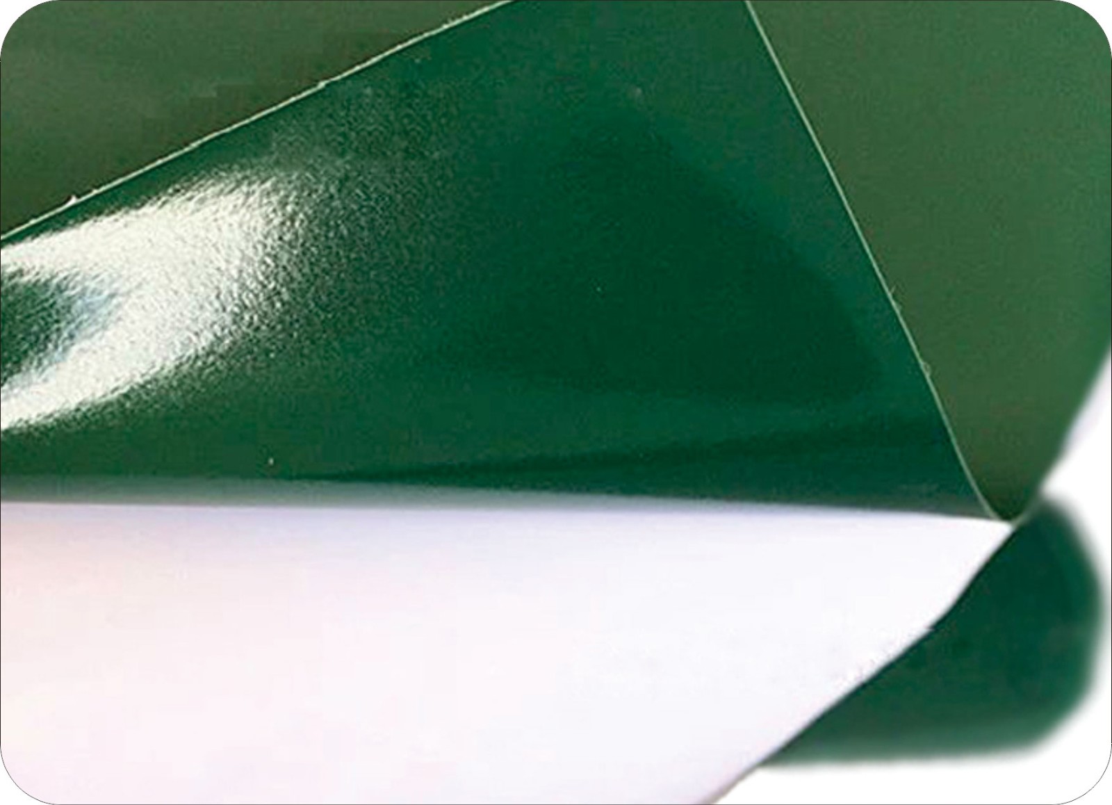 Dual Heads Roll Feeding Digital Flatbed Cutting Machine